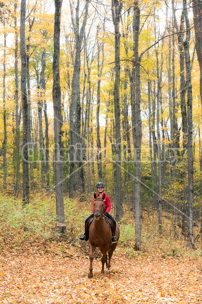 Young girl horseback riding through the autumn colored forest