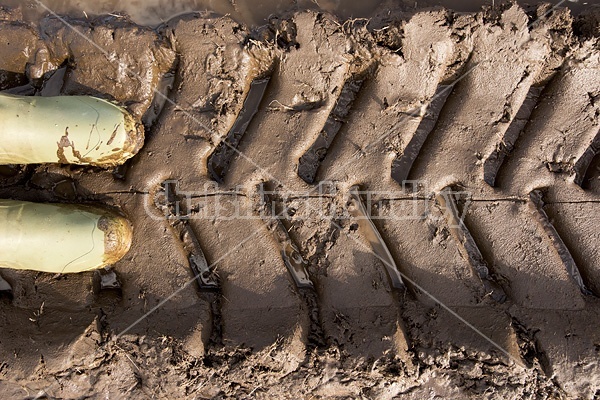 Standing in a muddy tractire tire track with green rubber boots