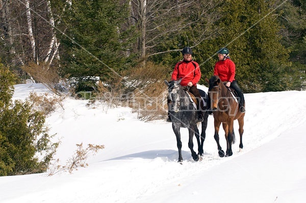 Horseback Riding in the Winter in Ontario Canada