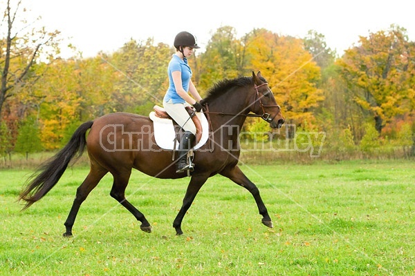 Young woman horseback riding