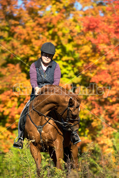 Woman riding a Chestnut Thoroughbred horse