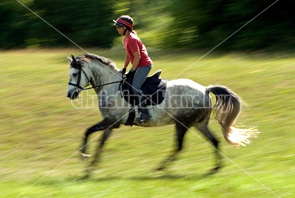 Woman riding gray horse in field