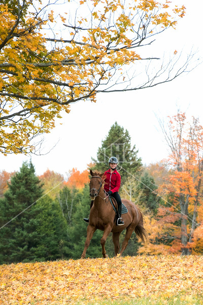 Young girl horseback riding through the autumn colored forest