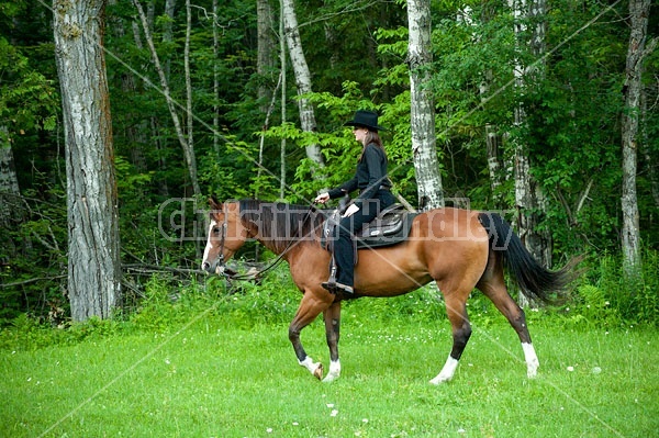 Young woman riding her American Paint horse mare