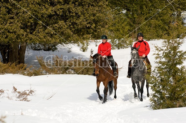 Horseback Riding in the Winter in Ontario Canada