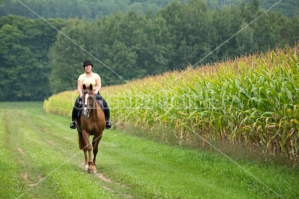 Young woman riding chestnut Thoroughbred horse.