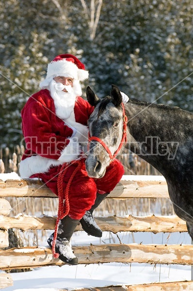 Santa Claus and his Horse