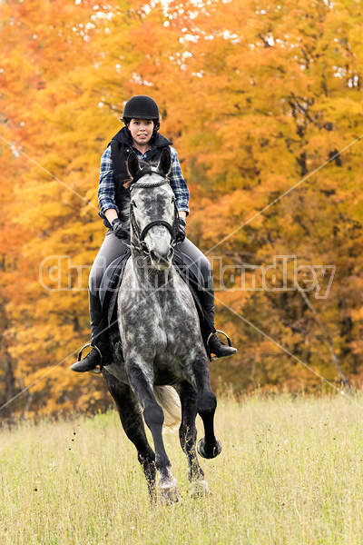 Young woman riding gray horse in the autumn colors