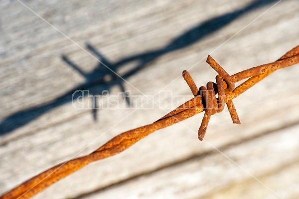 Close-up photo of barbed wire fence
