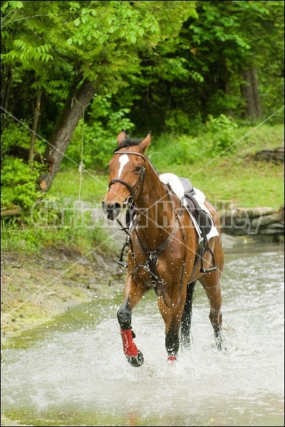 Killusty Horse Trials Fenelon Falls Ontario Canada