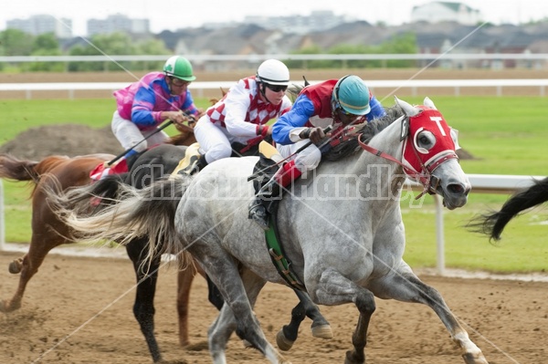 Quarter Horse Racing at Ajax Downs