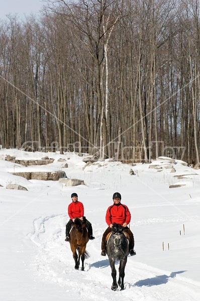 Horseback Riding in the Winter in Ontario Canada