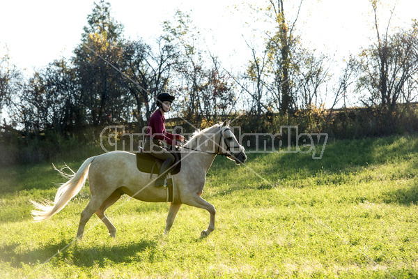 Young woman riding palomino horse