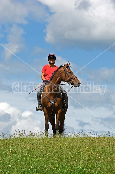 Woman riding bay horse