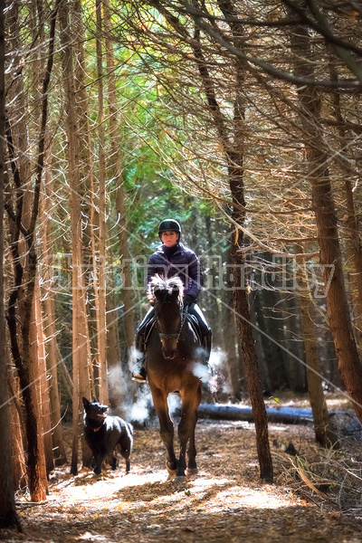 Woman horseback riding in cedar forest in dramatic light