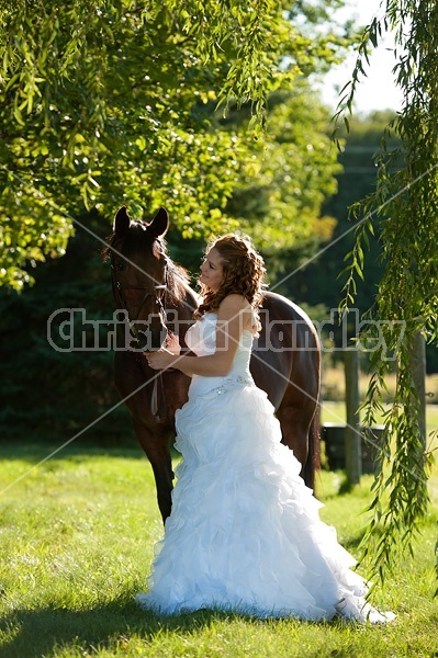 Woman in wedding dress with horse.