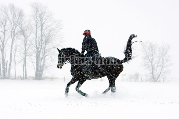 Woman horseback riding in the winter