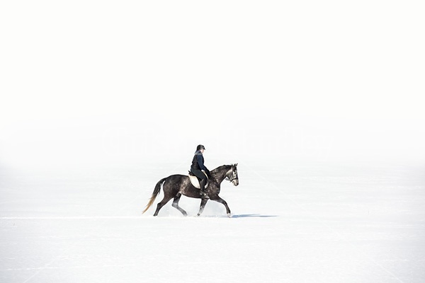 Woman riding Hanoverian mare in deep snow