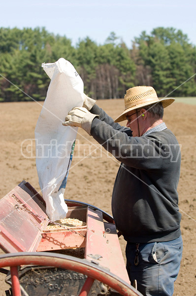 Farmer filling seed drill with oats.