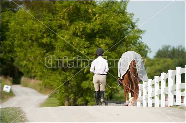 Hunter Jumper Show at Blue Star Farm