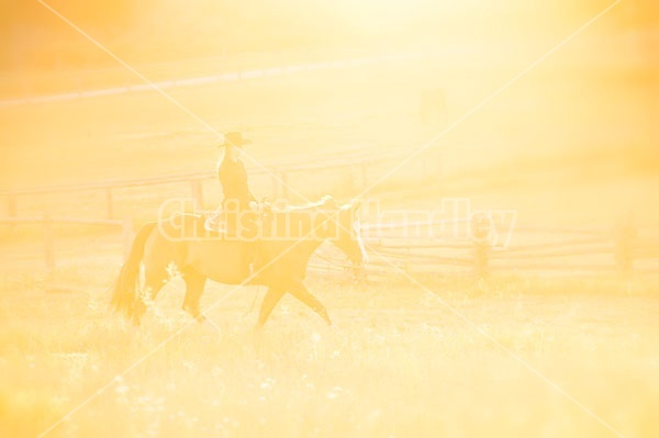 Young woman riding an American Paint Horse mare in the golden glow of the late evening light