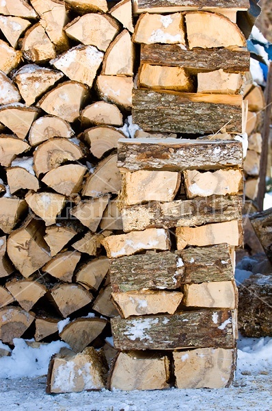 Hardwood firewood cut, split and piled 