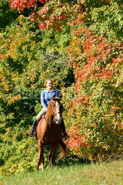 Young woman riding a chestnut horse. 