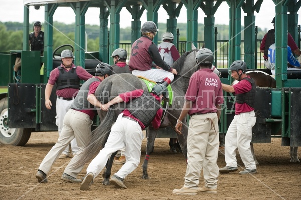 Quarter Horse Racing at Ajax Downs