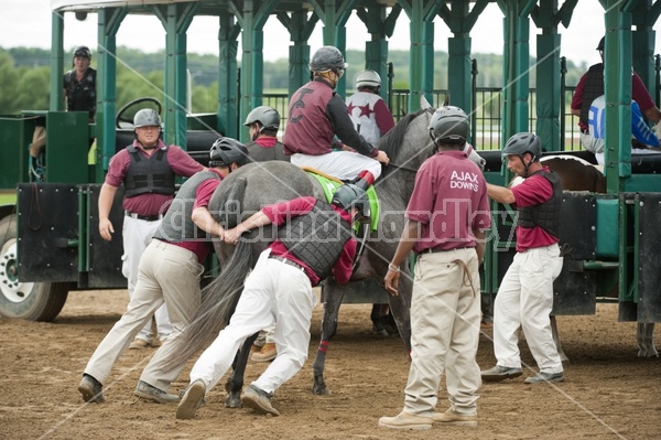 Quarter Horse Racing at Ajax Downs