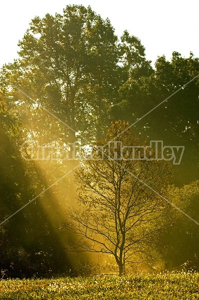 Autumn farm scene