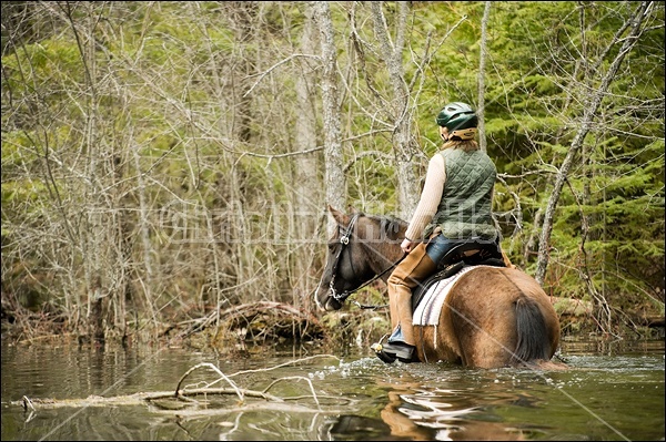 Riding Rocky Mountain Horses