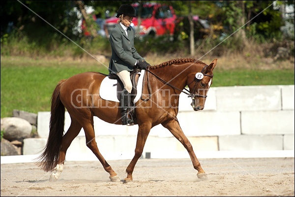 Lanes End Horse Trials