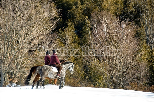 Husband and wife horseback riding through the deep snow