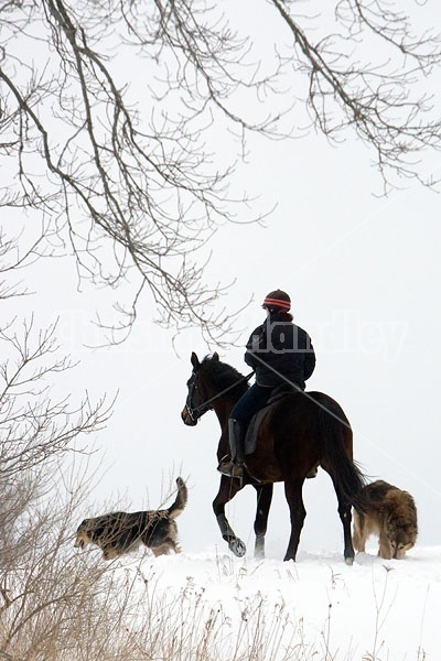 Woman horseback riding in the winter