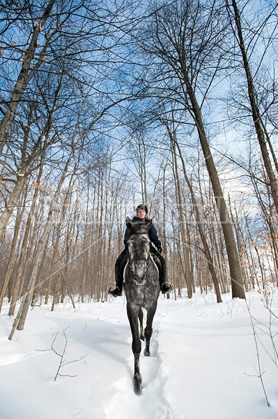 Woman riding Hanoverian mare in deep snow