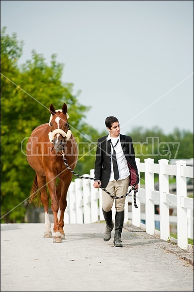 Hunter Jumper Show at Blue Star Farm