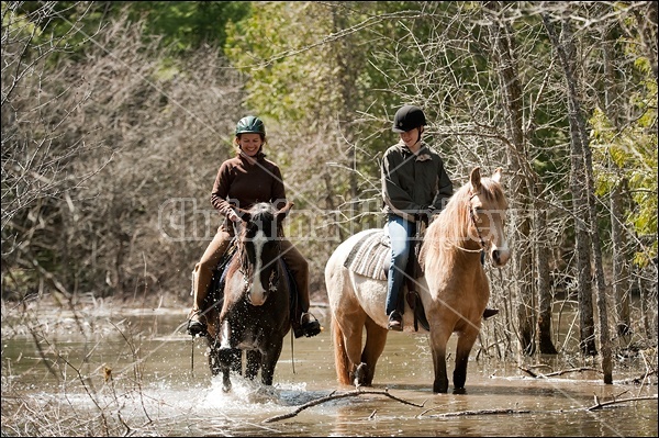 Riding Rocky Mountain Horses