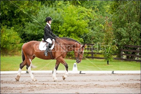 Lanes End Horse Trials