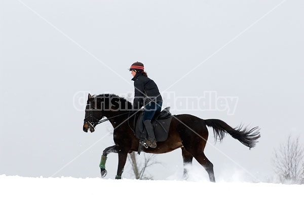 Woman horseback riding in the winter