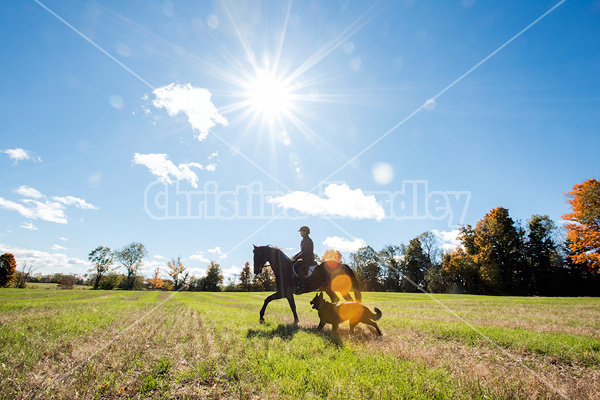 Woman horseback riding through field in the autumn time