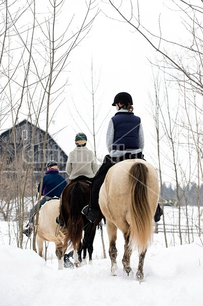 Horseback riding in the snow in Ontario Canada