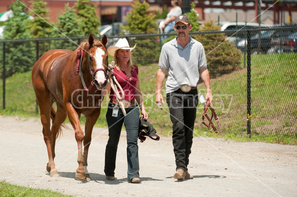 Quarter Horse Racing at Ajax Downs