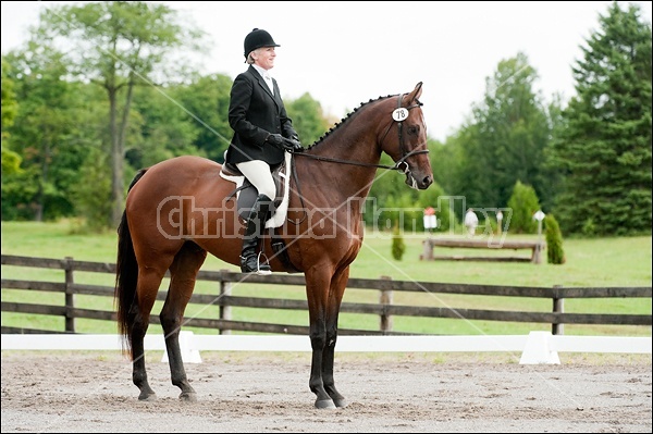 Lanes End Horse Trials