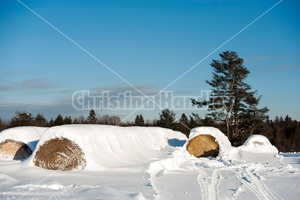 Round bales of hay covered in snow