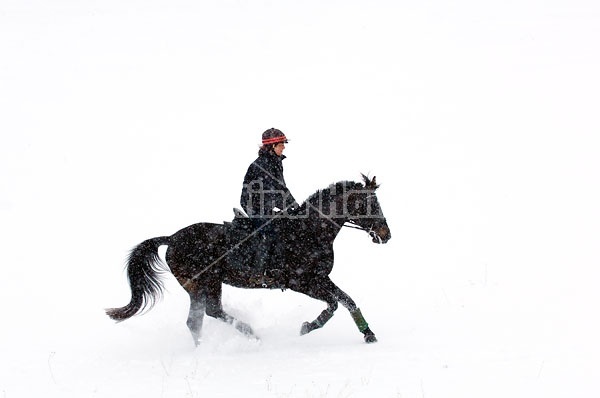 Woman horseback riding in the winter