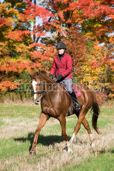 Woman riding chestnut horse in the autumn time