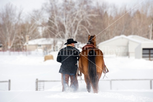 Portrait of a man walking a horse in the deep snow