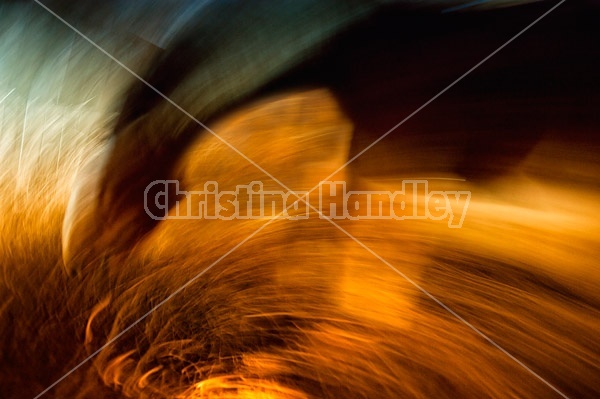 Abstract photo of a horse using a slow shutter speed