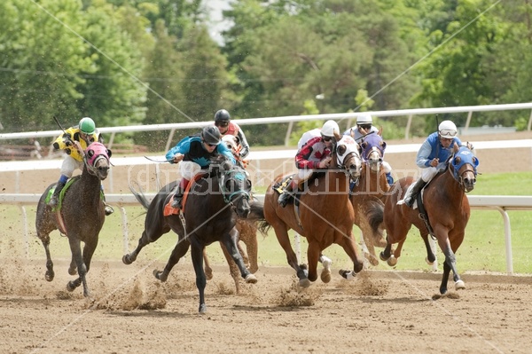 Quarter Horse Racing at Ajax Downs