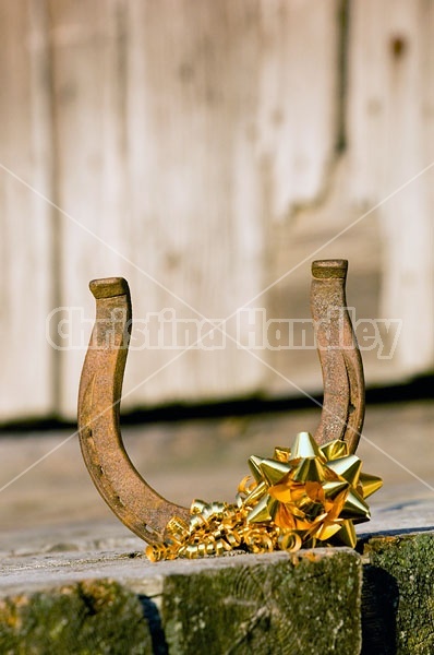 Horseshoe Christmas decoration